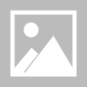 帕尔马球星丹尼斯-曼以850万欧元基础转会费签约埃因霍温